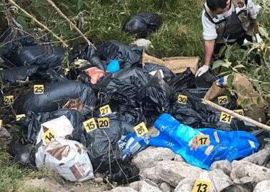 Encuentran bolsas con más de cien perros muertos