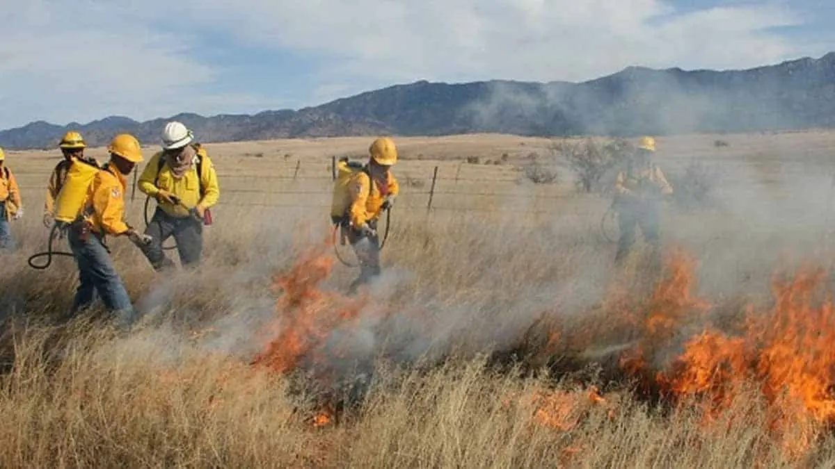 Causa sequía más incendios