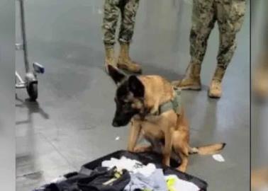Llevaba ropa impregnada con cocaína en la maleta