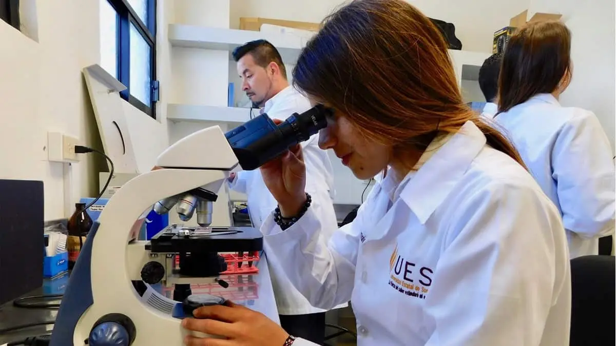 UES Navojoa amplia registro para aspirantes