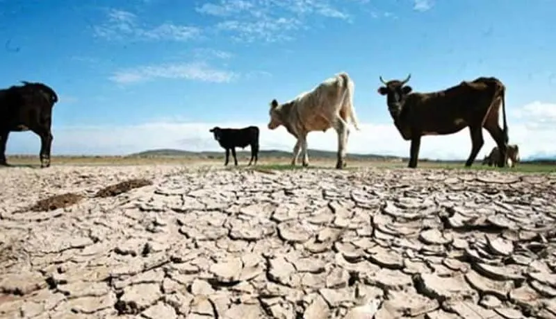 Empresas y minas saquean el agua