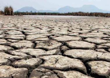Sequía se expande