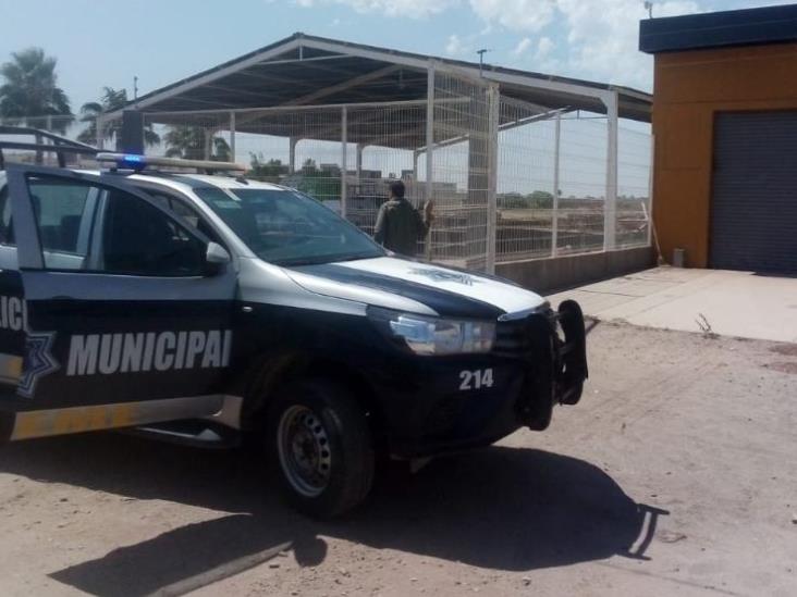 Roba lujosa pick up a punta de pistola Roba lujosa pick up a punta de pistola