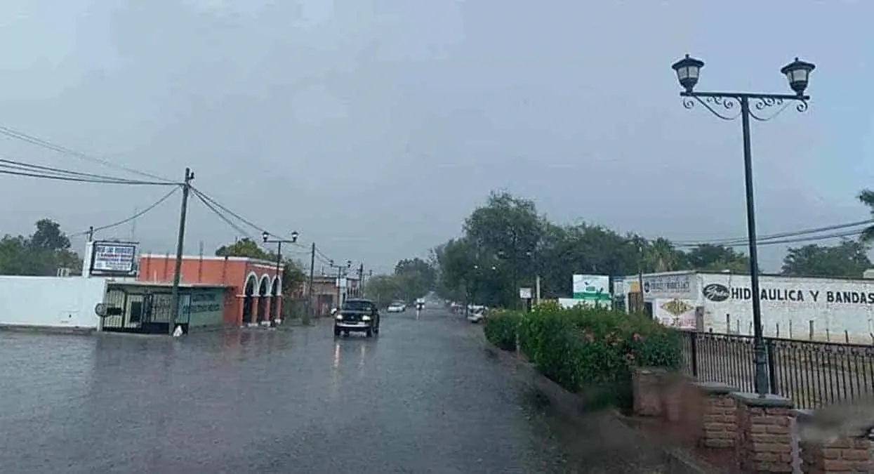Llega primera lluvia a Álamos