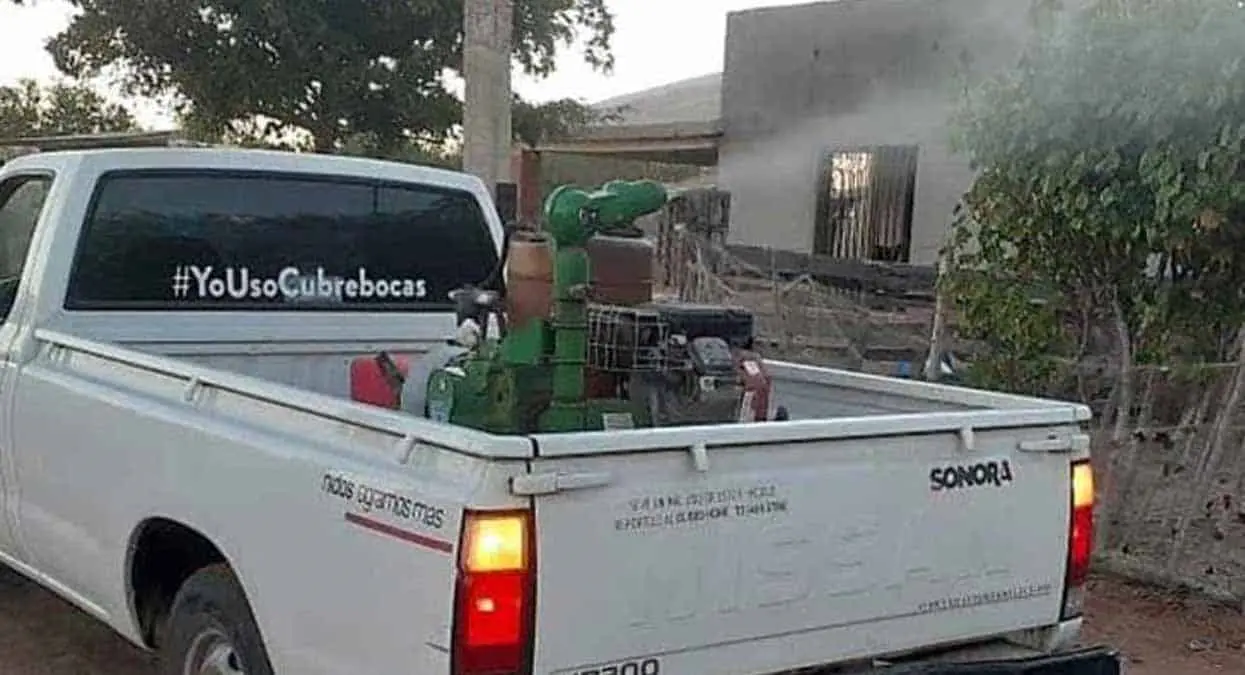 Dengue no cede
