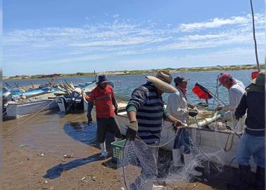 Pescadores mayos piden proyectos productivos