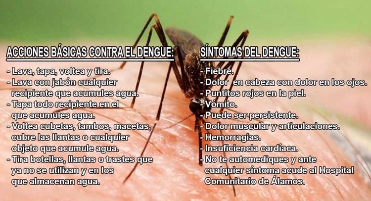 imagen-cuerpo
