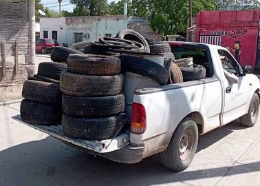 Limpian Álamos