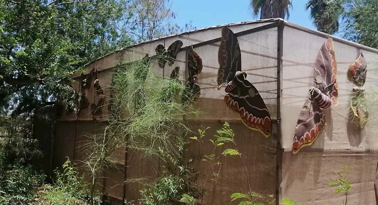 Mariposario vandalizado y sin solución