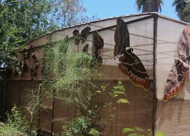 Mariposario vandalizado y sin solución