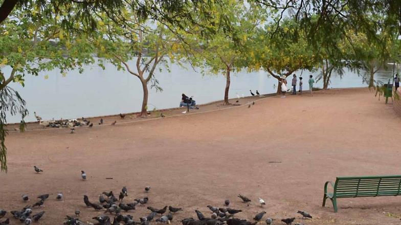 Proyectos de la Laguna del Náinari no afectarán agrupaciones