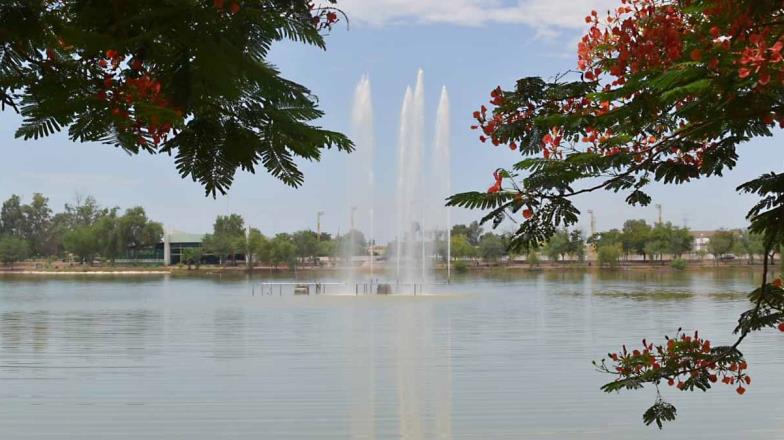 Proyectos de la Laguna del Náinari no afectarán agrupaciones