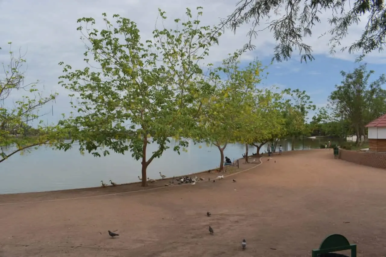 Descartan presencia de organismos y bacterias en la Laguna