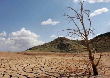 Degradados en 52% los suelos agrícolas