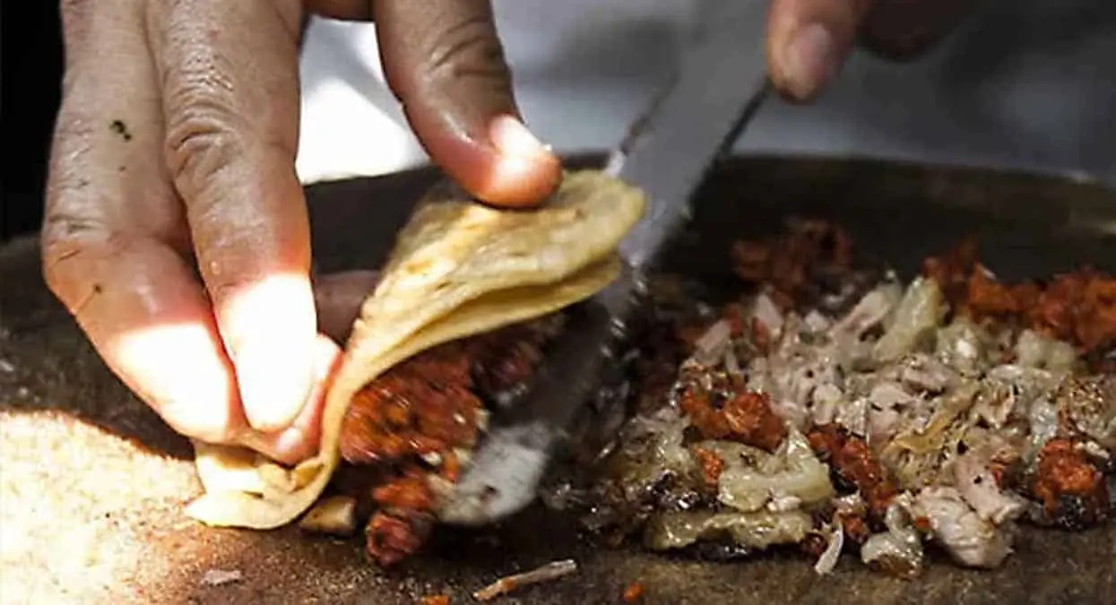 Sorprende a comensales cabeza de perro en taquería