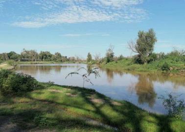 Deben agua al río Mayo