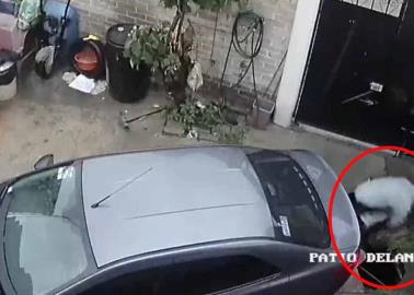 Video. Socavón se traga a hombre en el patio de su casa