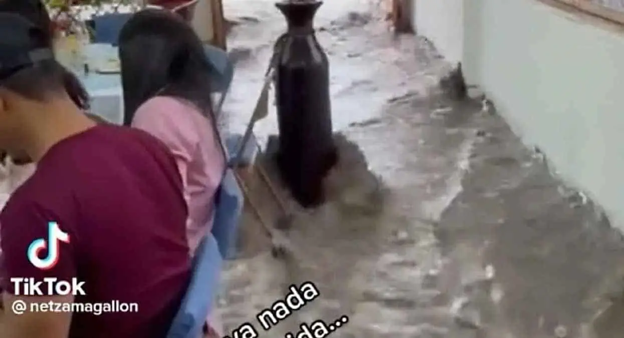 VIDEO. Cuando ya nada te preocupa en la vida