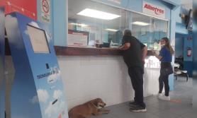 Se queda Navojoa sin servicio de transporte