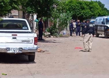 Asesinan a mujer en la Aves del Castillo 