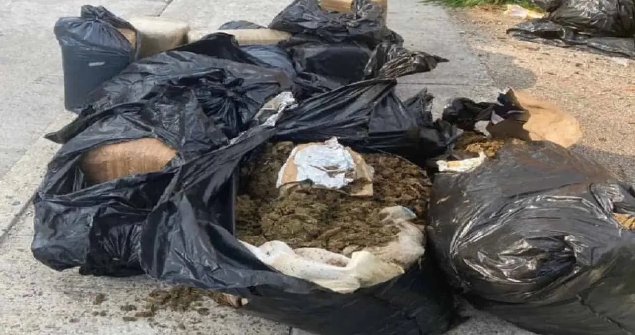 Localizan 90 kilos de mota en calles de León