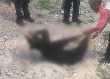 Video: Pobladores torturan y matan a osezno que baj&oacute; a beber agua