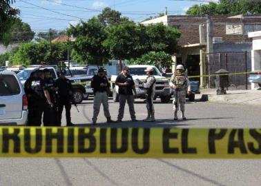 Era de la Nueva Palmira "embolsado" en la Ladrillera