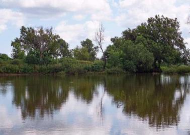 Quieren un río "vivo"