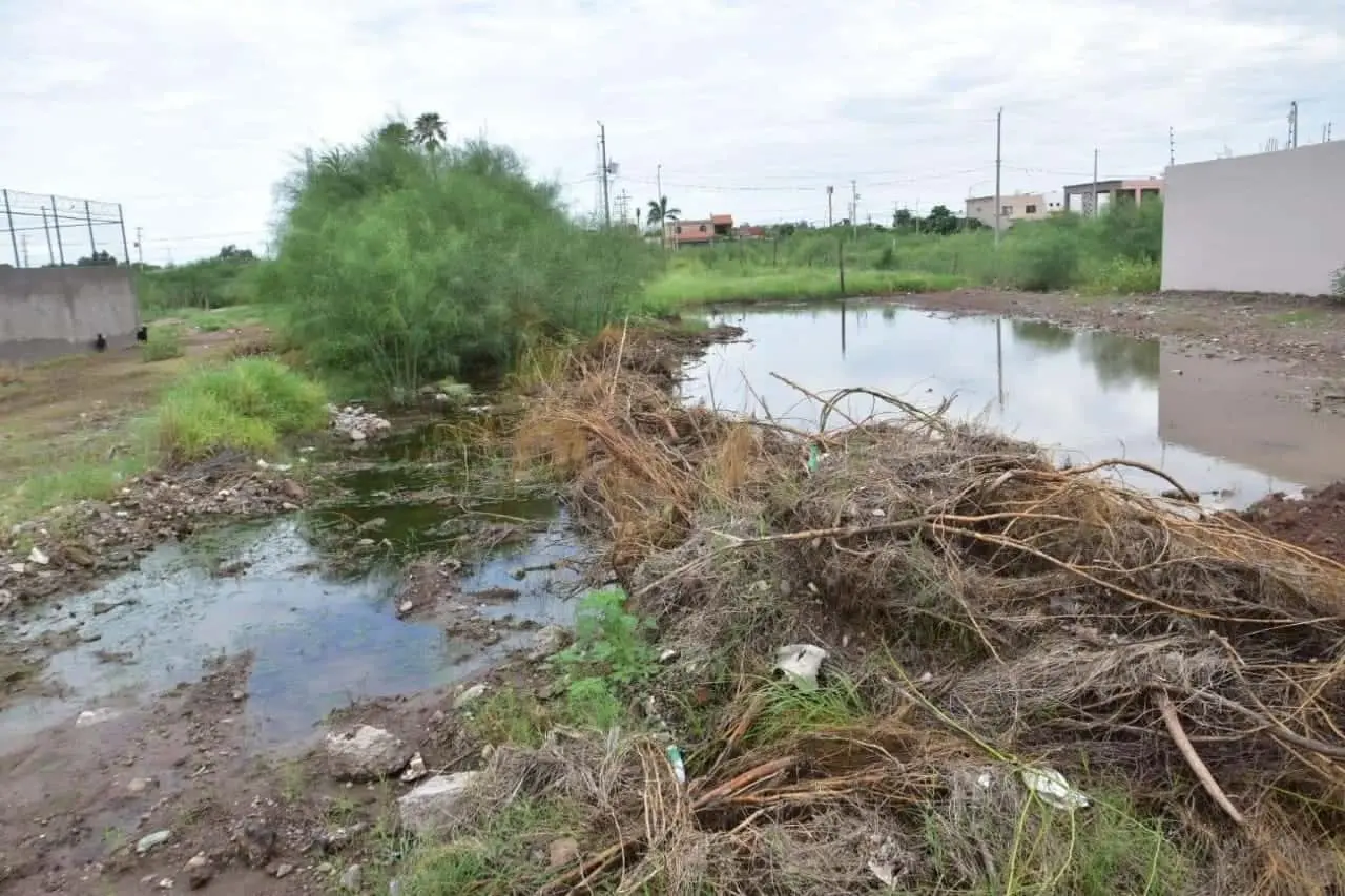 Prevención, la mejor arma contra el dengue