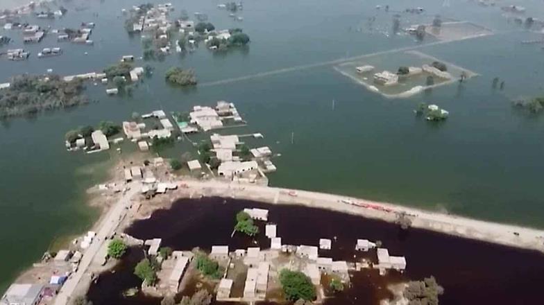 VIDEO. Brutales inundaciones en Pakistán dejan miles de tragedias