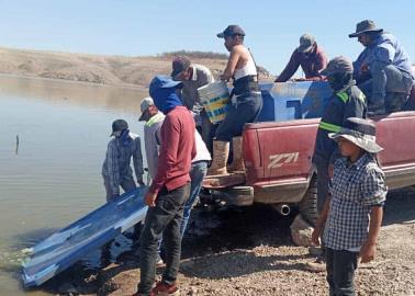 Crece pesca en la presa