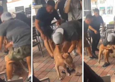 VIDEO: Pitbull ataca a perro chihuahua en restaurante amigable