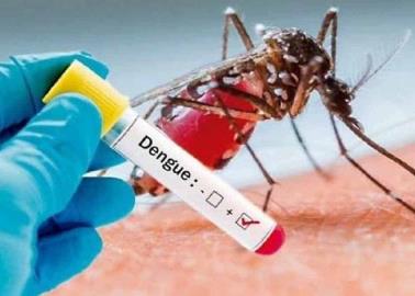 Unidos contra el dengue