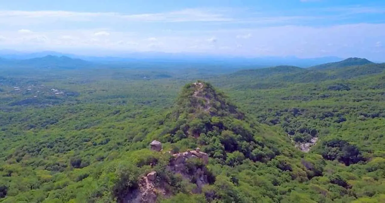Se recupera sierra de Álamos