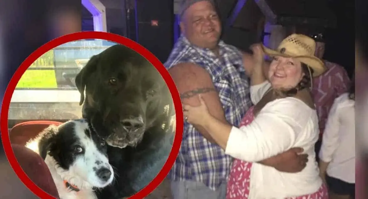 En pacto de amor: pareja mata a sus perros y se suicida