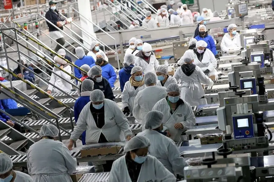 Sonora, líder en empleo