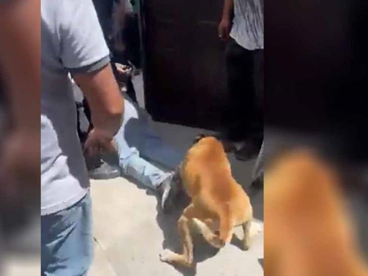 Video. Nunca le dio tanto gusto ser arrestado Video. Nunca le dio tanto gusto ser arrestado