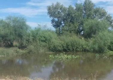 Corre poca agua por el Río Mayo