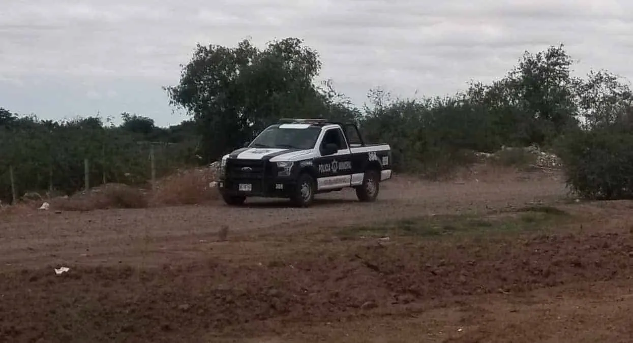 Hallan cadáver en el Valle del Yaqui
