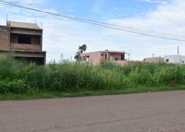 Multará Comuna a dueños de los solares “cochinones”