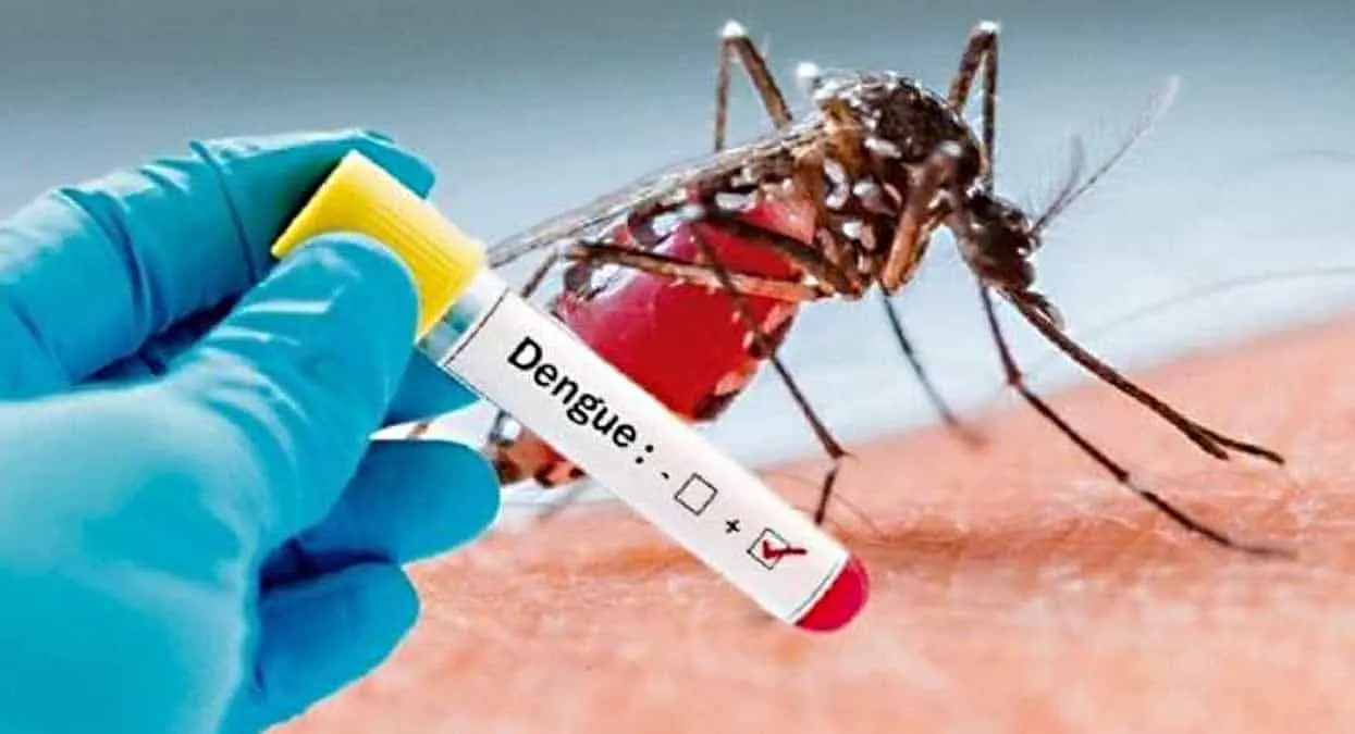 Sonora, tercer estado con casos de dengue