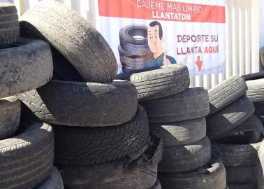 Arranca el llantatón contra el dengue