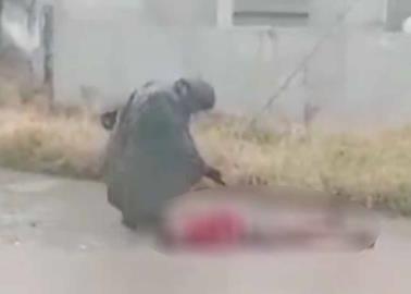 Video. Ejército rescata a niño electrocutado en Sinaloa