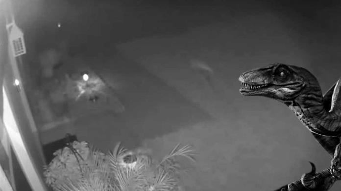 VIDEO. Mujer asegura que un dinosaurio merodea en su jardín