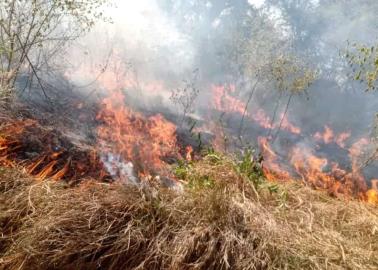 Incendios en Álamos dañan 30 hectáreas