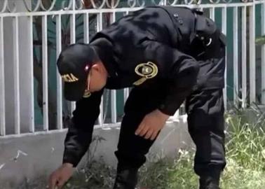 VIDEO. Extorsionador iba a dejar bomba y el brazo salió volando