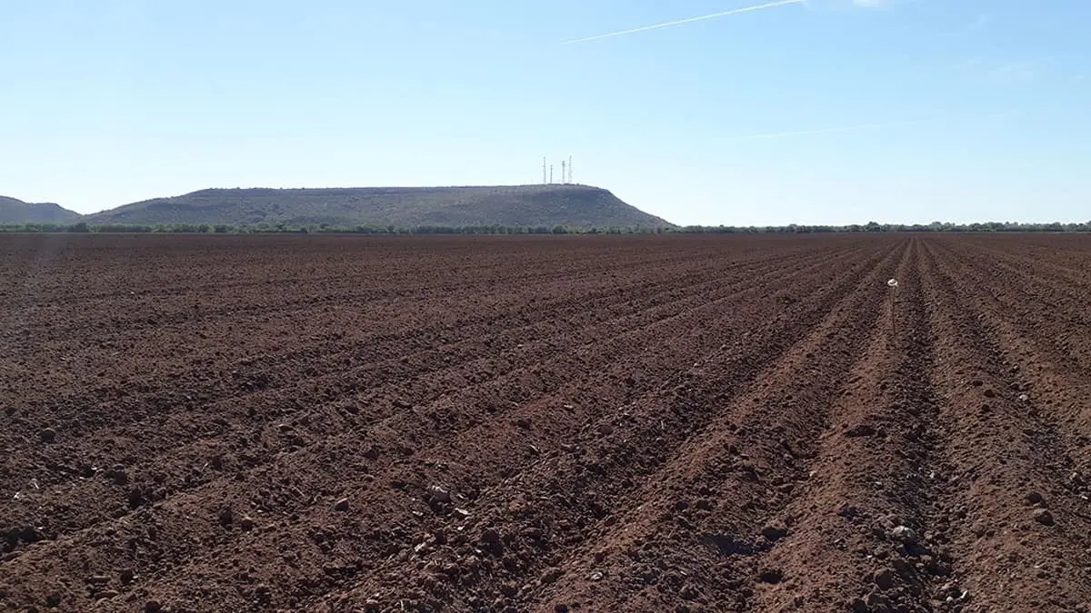 Sin créditos está el agro