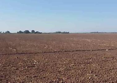 Ejidos luchan por subsistir