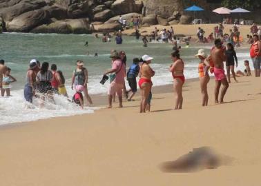 Aparecen 3 cuerpos masacrados en playa de Acapulco