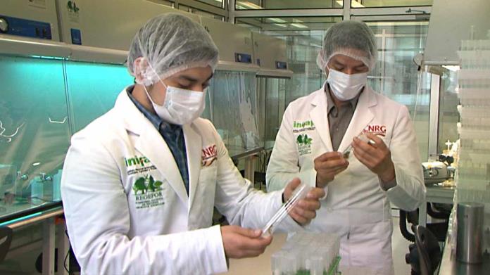 Investigación agrícola está garantizada: Inifap Investigación agrícola está garantizada: Inifap